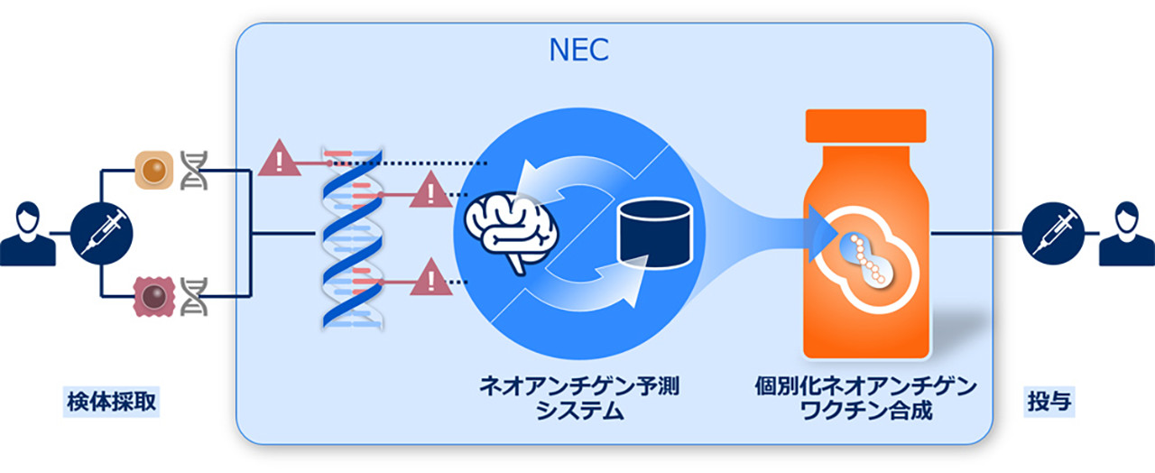 臨床実験の流れ