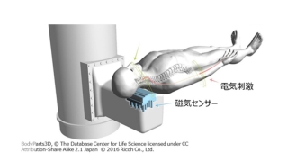 東京医科歯科大学、金沢工業大学、リコーが共同開発する「脊磁計」の概要