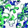 DeepMindのAI「AlphaFold」が快挙　タンパク質構造予測コンペで史上最高精度を達成