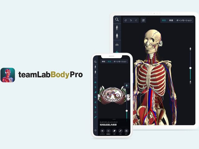 チームラボが「3D人体解剖学アプリ」を開発、MRI画像を元に骨 