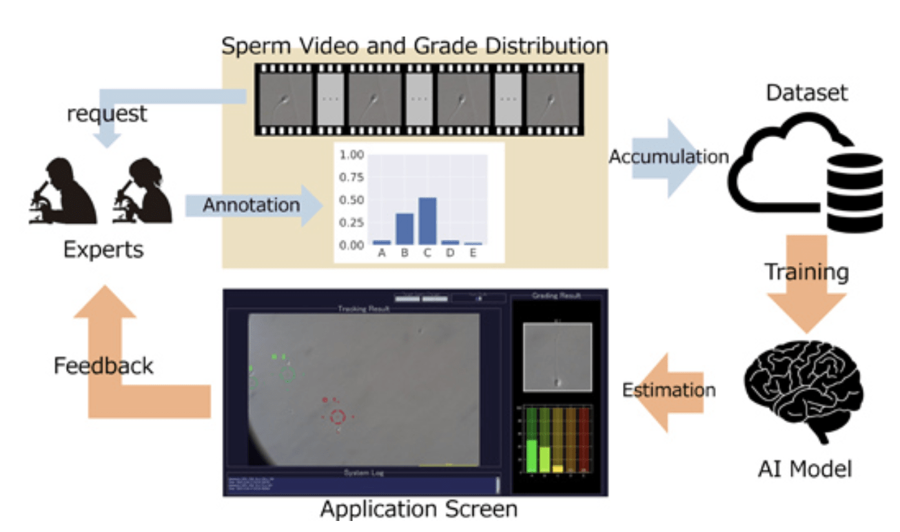 図１ MERSV で学習されたＡＩによる精子評価システム