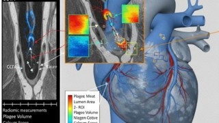 Thumbnail of post image 051