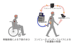 Thumbnail of post image 083